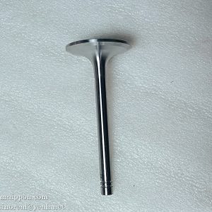 6N9915 intake valve C04AL-6N9915+A 4110000186106 860113118 Z00250593 PS09281 SP101599 W014200351 4190000536067 Shanghai Diesel Engine (SDEC)