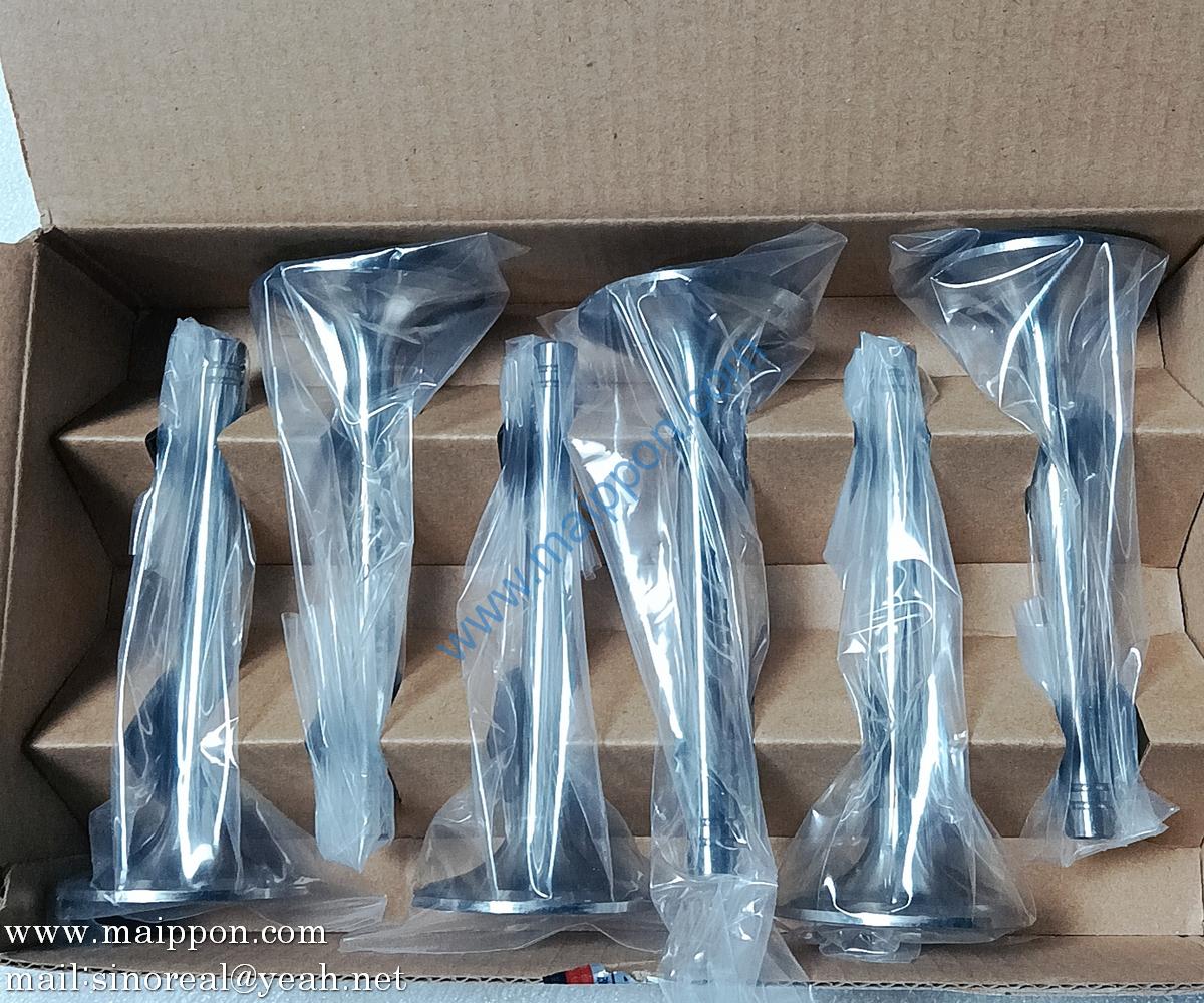 6N9916 exhaust valve C04AL-6N9916+B 4110000186107 860113014 Z00250489 860113119 Z00250594 PS09282 SP101600 4110001003076 W014200361 4190000536068 SDEC