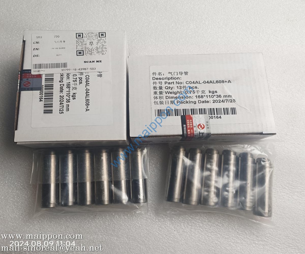 C04AL-04AL608+A Valve Guide 4110000565224 PS09272 W01420163 4110001005064 XGMA XGMA SDLG Shanghai Diesel Engine (SDC) part