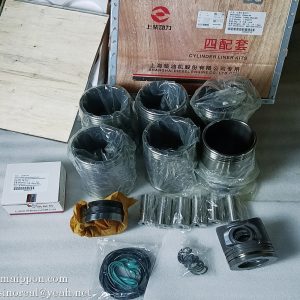 C05AL-05AL601 02AL602 Cylinder Liner and Piston Repair Kit Shanghai Diesel Engine (SDC) part
