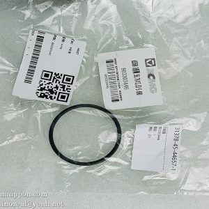 803303446 O-ring XCMG