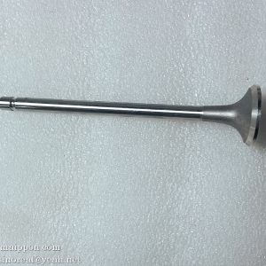 YC6105ZQC exhaust valve J3000-1003103 Yuchai spare part