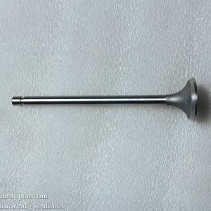 YC6105ZQC exhaust valve 6105QA-1007012 Yuchai spare part