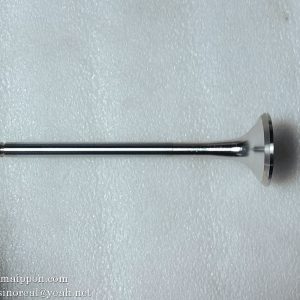 612600050025 Exhaust valve WD615 WEICHAI spare part