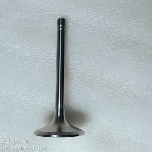 C04AL-04AL603+B Exhaust valve  4110000565190 PS09268 W014202320 4110001005063 SDLG SEM XGMA part