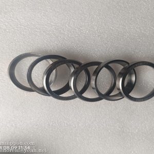 C04AL-04AL606+A Exhaust valve seat 4110000565191 PS09271 W01420150 4110001005058
