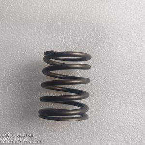 C04AL-04AL604+A Valve spring 4110000565223 PS09269 W014201250 4110001005065 SDLG part