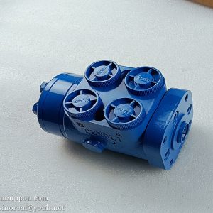 BZZ1-E160BG Steering Gear Hangcha Forklift Part