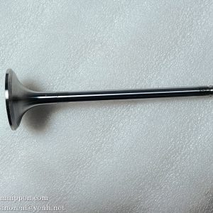 612600050073 Intake valve WEICHAI spare part