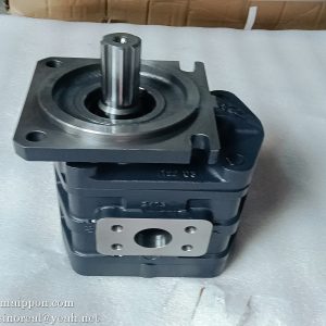 9F650-54A050000A0 9F10-541700 Gear pump  FOTON LOVOL part