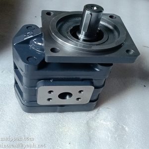 W-01-00008 Gear pump JHP2050 CHANGLIN part