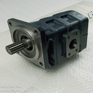 W-01-00134 Gear pump CBGj2100 CHANGLIN part