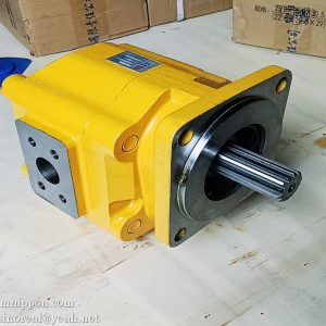 W067200000B 308-4869 CBGJA3100 Gear pump SEM parts