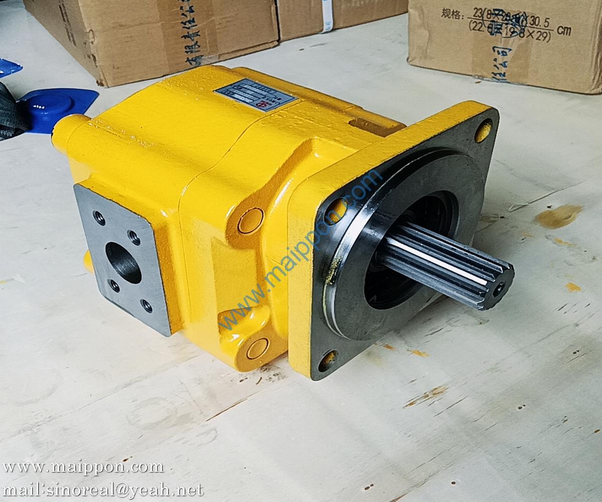 W067200000B 308-4869 CBGJA3100 Gear pump SEM parts