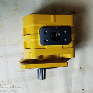 CBGJ2063C 803004124 5005153 Gear pump XCMG part