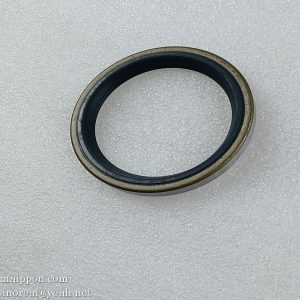4043000127  Dust Seal LGB307-60 SDLG parts