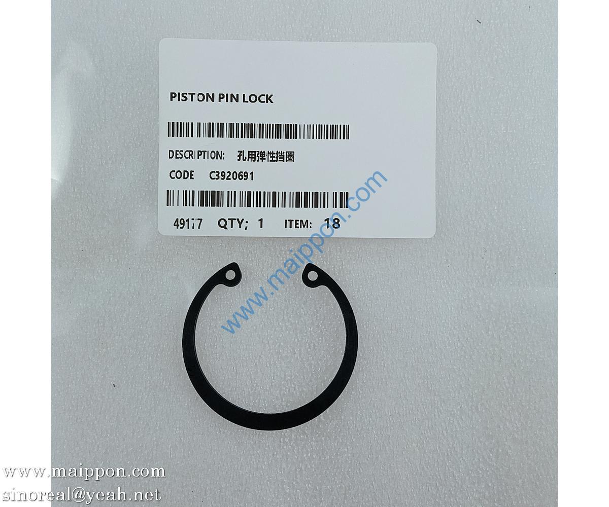 3920691 Elastic Retaining Ring Cummins Engine Parts