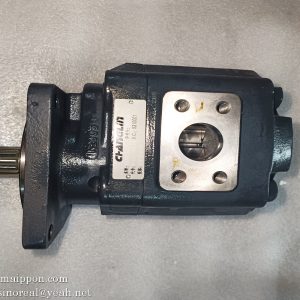 W-01-00140  Gear Pump JHP2080S  CHANGLIN parts
