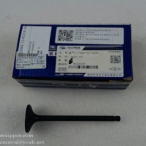 4110003492212 Intake Valve HA03309 SDLG parts