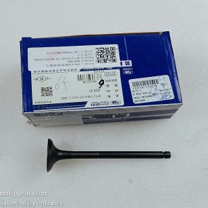 4110003492210 Exhaust Valve HA03308 SDLG parts