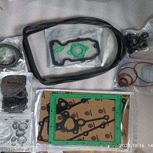 1005864937 Engine Repair Kit WEICHAI engine parts