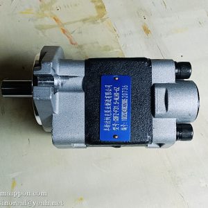 CBFZ-F31.5-ALHX-6Z Gear Pump