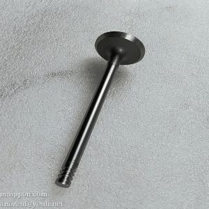 860153444 Exhaust Valve F0428 4043   XCMG parts
