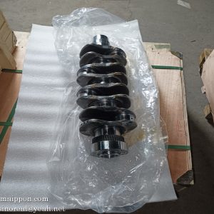 1100502065DP Crankshaft Assy 005020-65D P DACHAI FAW engine pats
