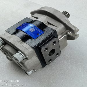 CBHZA-F36-AF13L   Gear Pump