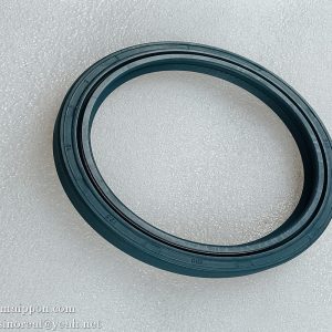 4110003492025 Oil Seal HA0339B Oil Seal (DL100X125X12) SDLG parts
