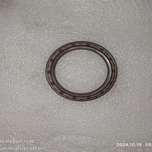 GBT13871.1-2007 Lip Seal B55×72×8 803402429  XCMG parts