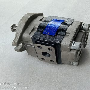 CBHZA-F36-AF13R    Gear Pump