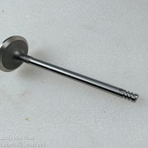 860153443 Intake Valve F04284042   XCMG parts