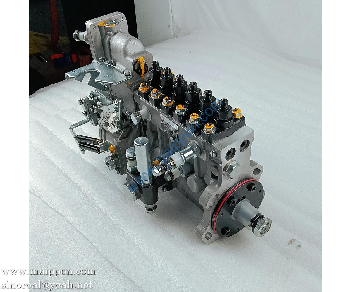 612601080880 fuel injection pump BHT6P120R Weichai parts