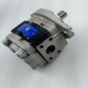 CBHZA-F25-AF-R  Gear Pump
