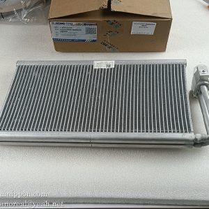 AXGAY40089 Evaporator Core Valve Assy 860152439  XCMG parts