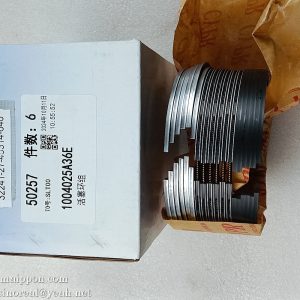860161940 Piston Ring Set  1004025A36E  XCMG parts