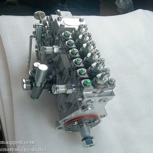 1000951373Z Fuel Injection Pump WEICHAI engine parts