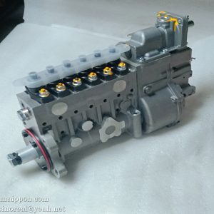 860120044 Fuel injection pump assembly 612601080575 WD615 XCMG spare part