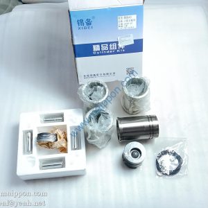 1004011-B43-0000 piston cylinder kit 4DW92 engine parts