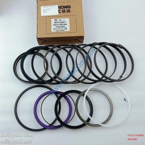 860160807 XE215E-DG Sealing Repair Kit XCMG Parts