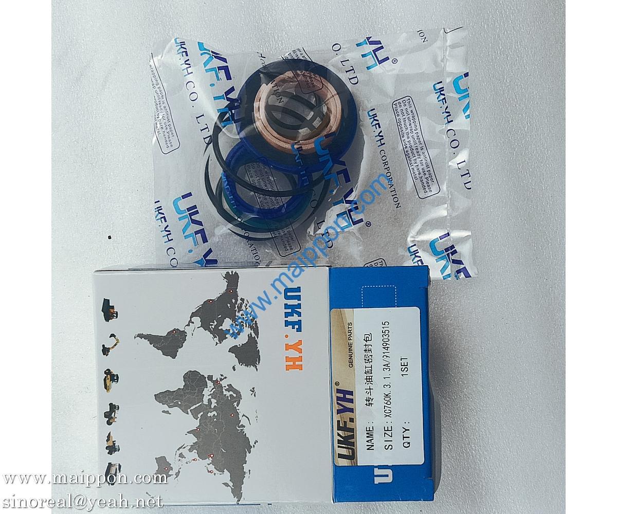 914903515 Sealed Repair Kit XCMG Parts