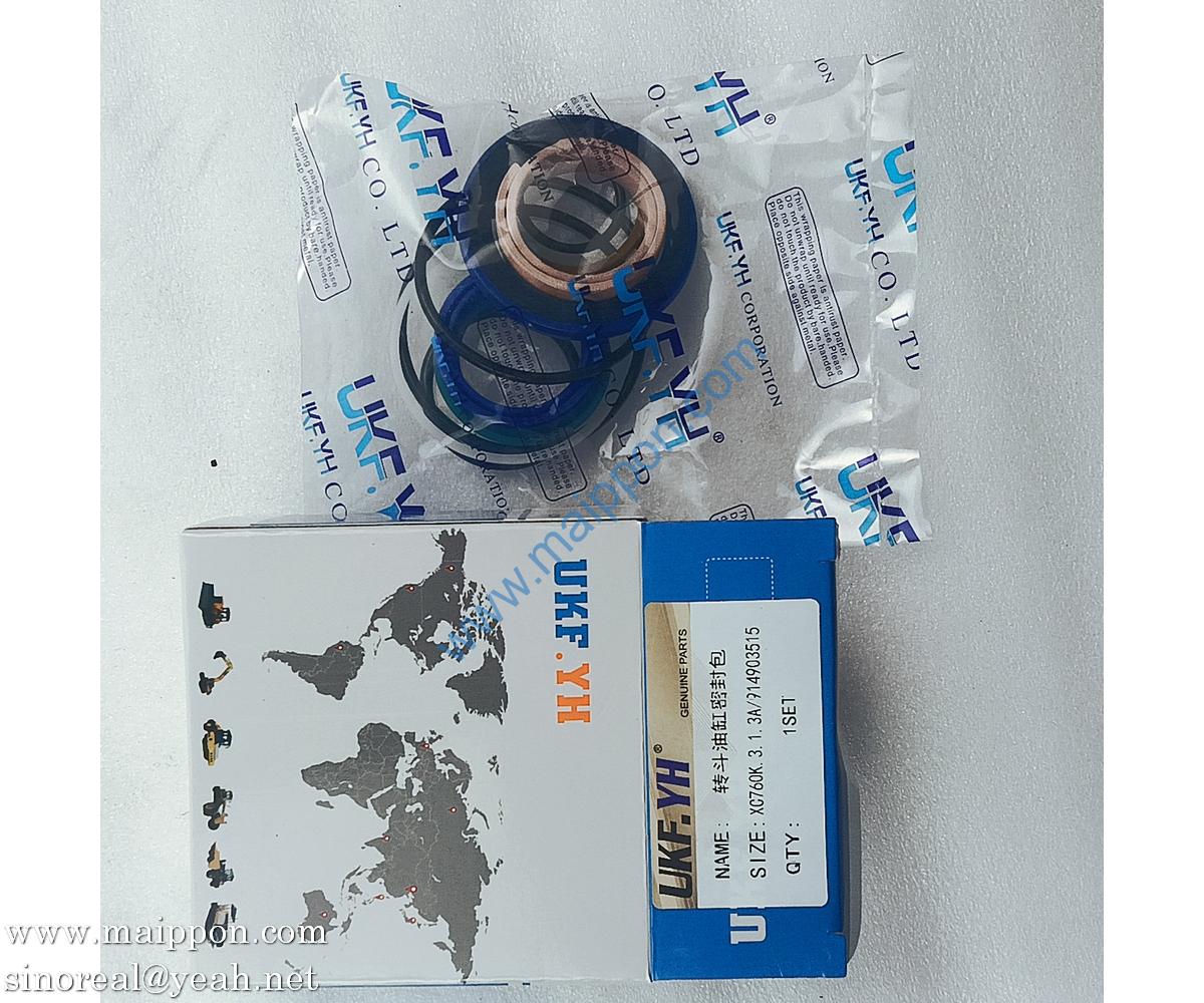 914903515 Sealed Repair Kit XCMG Parts