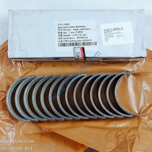 C06AL-4W5738 4190000536097 4W5738 W014200101 SP101622 Main bearing