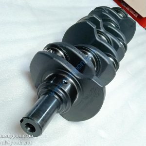 C490BPG-05004D crankshaft engine parts
