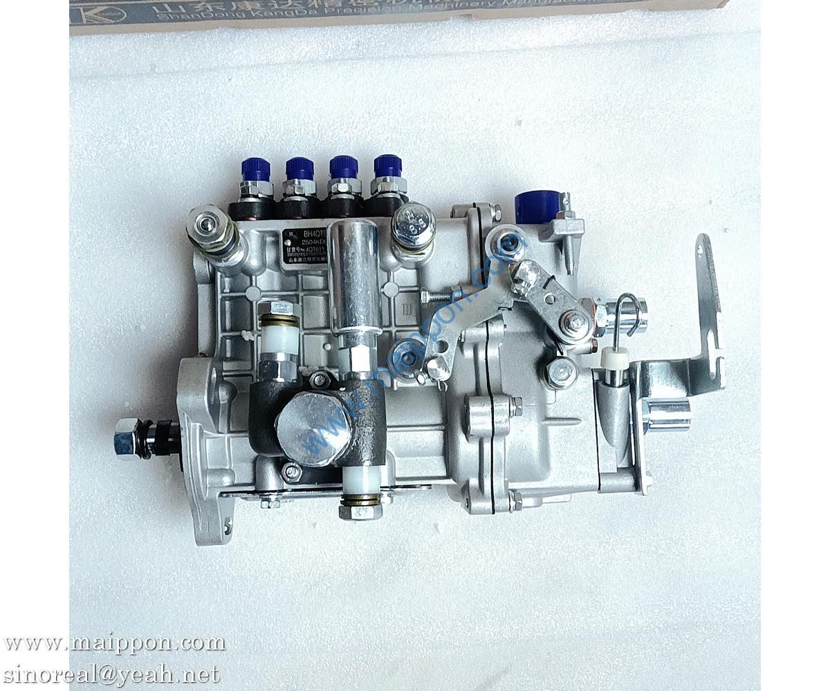 HA11008 fuel injection pump BH4QT95R9 240100096831 BH4QT95R9 YTO engine parts