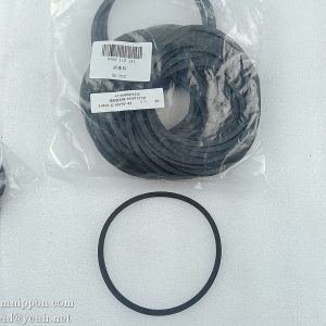 0750112141 piston ring 4110000076352 ZF gearbox parts