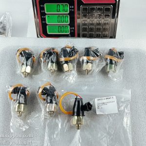 9B656-64A10000B0 Oil Pressure Sensor FOTON LOVOV FL956H Parts